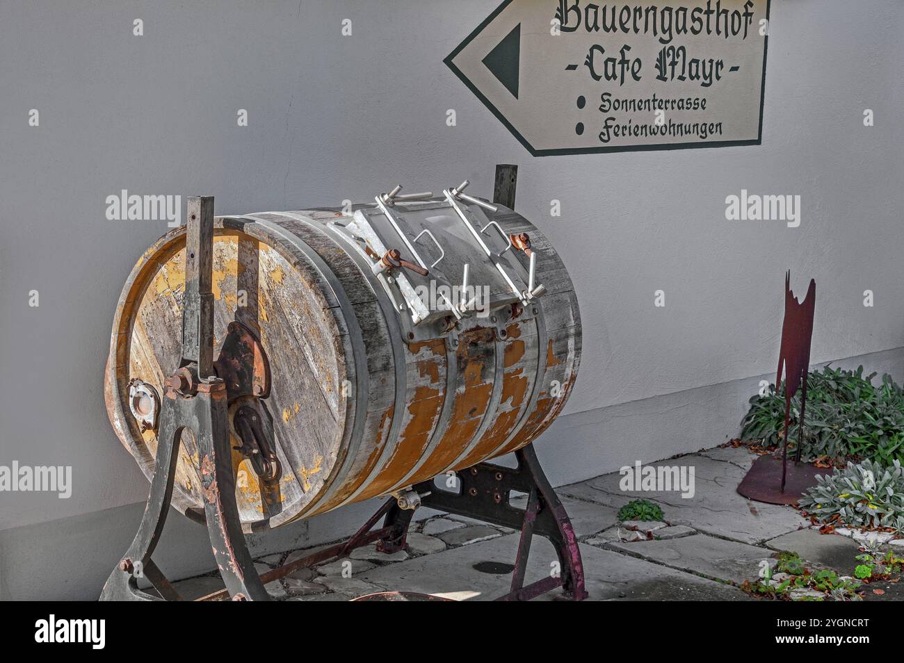 Alte Butterschnecke am Schweineberg, bei Ofterschwang, Allgaeu, Bayern, Deutschland, Europa Stockfoto