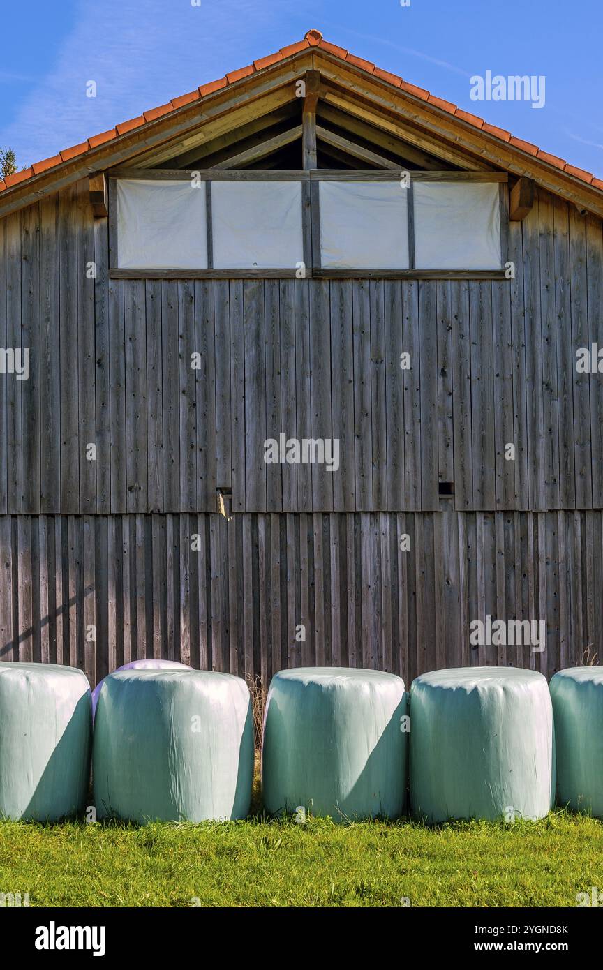 Scheune mit Gras in Rundballen, Rundballensilage, auf dem Schweineberg, blauer Himmel, bei Ofterschwang, Allgaeu, Bayern, Deutschland, Europa Stockfoto