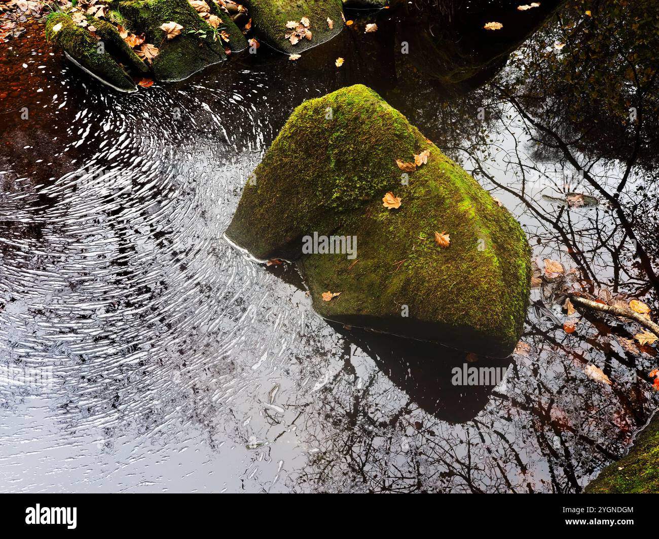 Ein moosiger Felsbrocken und Blasen folgen einem Wirbel in Hebden Water Hardcastle Crags Hebden Bridge West Yorkshire England Stockfoto