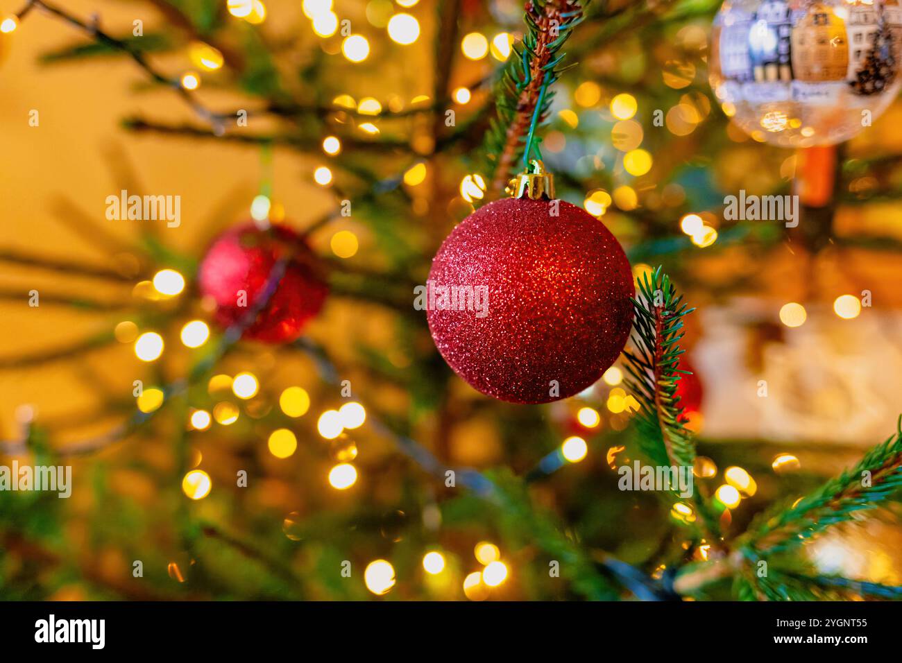 Glitzerndes rotes Ornament, das an einem weihnachtsbaumzweig hängt und von warmen festlichen Lichtern beleuchtet wird, schafft eine magische Urlaubsatmosphäre Stockfoto