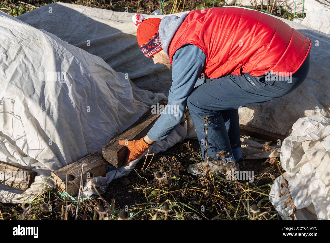 Tropische rhododendren -Fotos und -Bildmaterial in hoher Auflsung  Alamy