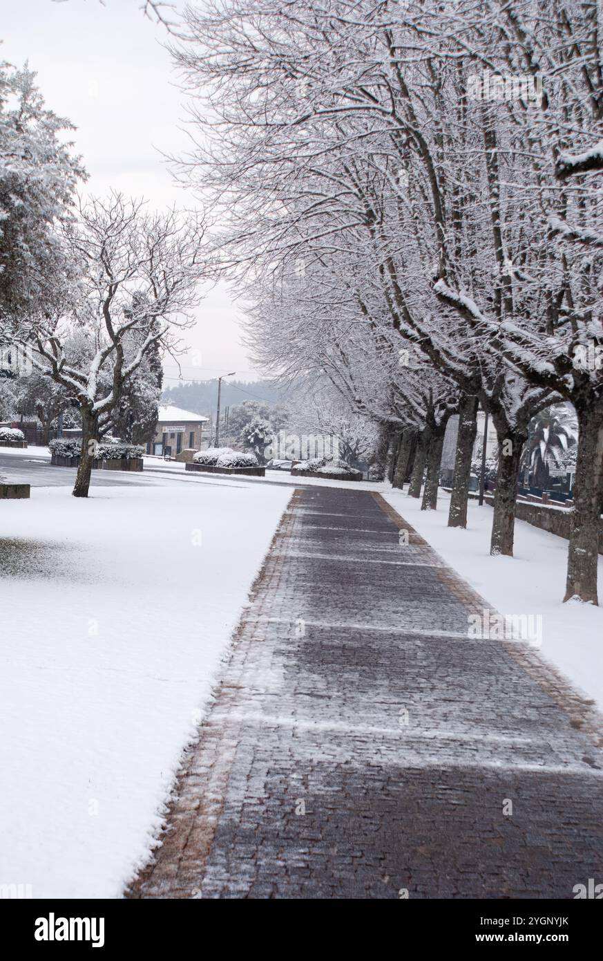 Verschneite Landschaft, verschneite Bäume und klarer Pfad gesäumt von Schnee Stockfoto