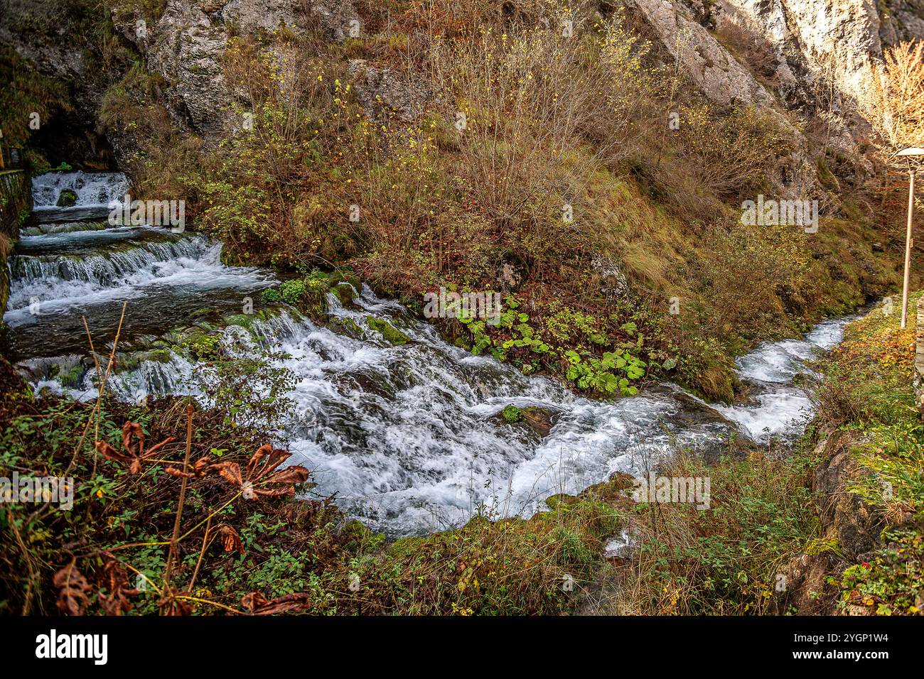 Italien Piemont Api Marittime Park - Valle Gesso Roaschia Dragonera Quelle Stockfoto