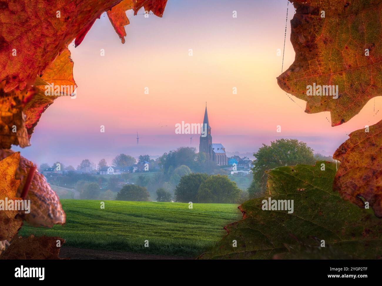 Sonnenaufgang über einer kleinen Stadt mit herbstlichen Traubenblättern, eingerahmt in Limburg, Niederlande Stockfoto