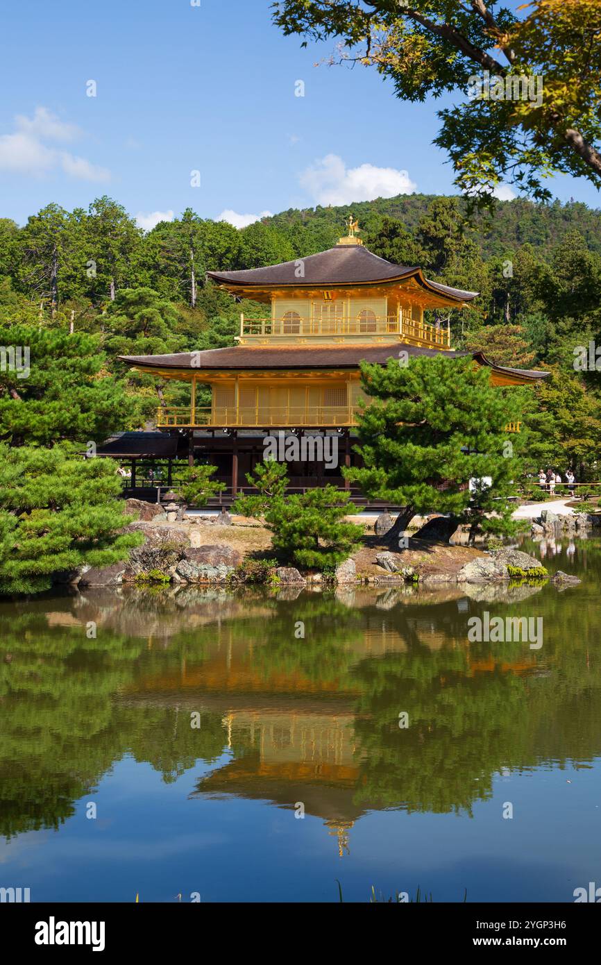 Die beiden oberen Stockwerke des Goldenen Pavillons sind mit Blattgold bedeckt. Seine Schönheit spiegelt sich in kyoko-Chi, dem Spiegelteich, wider. Stockfoto