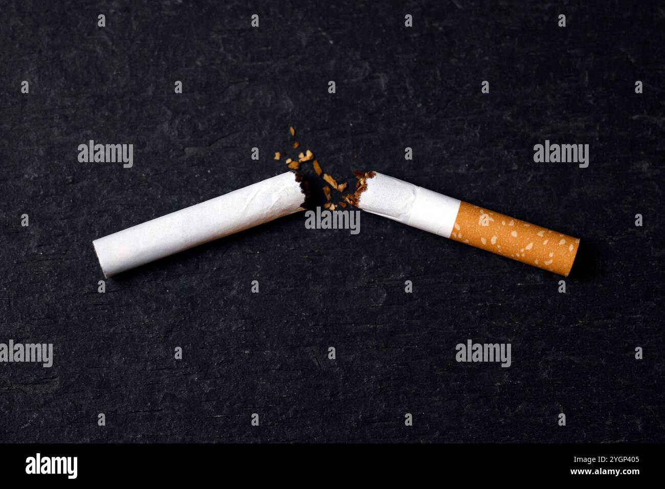 Eine durchgebrochene Zigarette der Marke Gauloises Blondes Red liegt auf einem Tisch. Die britische Regierung hat ein raidkales Gesetz für ein weitreichendes Rauchverbot ins Parlament eingebracht. Die Generation der heute 15-Jährigen soll demnach nie in ihrem Leben legal Zigaretten kaufen können. Themenbild, Symbolbild Köln, 08.11.2024 NRW Deutschland *** Eine kaputte Gauloise Blondinen Rote Zigarette liegt auf einem Tisch die britische Regierung hat ein Schlachtzugsgesetz für ein weitreichendes Rauchverbot im parlament eingeführt, in dem die Generation der heutigen 15-Jährigen niemals legal Zigaretten kaufen kann Stockfoto