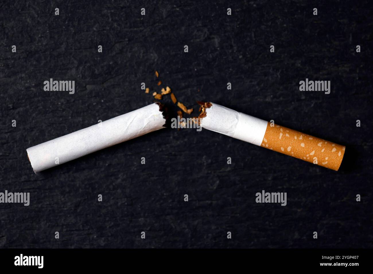 Eine durchgebrochene Zigarette der Marke Gauloises Blondes Red liegt auf einem Tisch. Die britische Regierung hat ein raidkales Gesetz für ein weitreichendes Rauchverbot ins Parlament eingebracht. Die Generation der heute 15-Jährigen soll demnach nie in ihrem Leben legal Zigaretten kaufen können. Themenbild, Symbolbild Köln, 08.11.2024 NRW Deutschland *** Eine kaputte Gauloise Blondinen Rote Zigarette liegt auf einem Tisch die britische Regierung hat ein Schlachtzugsgesetz für ein weitreichendes Rauchverbot im parlament eingeführt, in dem die Generation der heutigen 15-Jährigen niemals legal Zigaretten kaufen kann Stockfoto