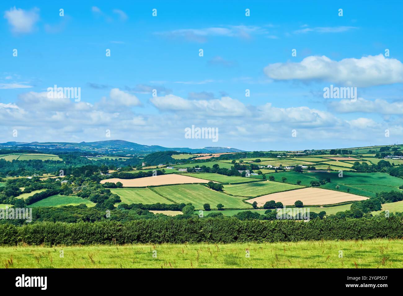 Landschaftsansicht der Felder und Hecken in der kornischen Landschaft in der Nähe von Fowey, Südwesten Englands. Stockfoto