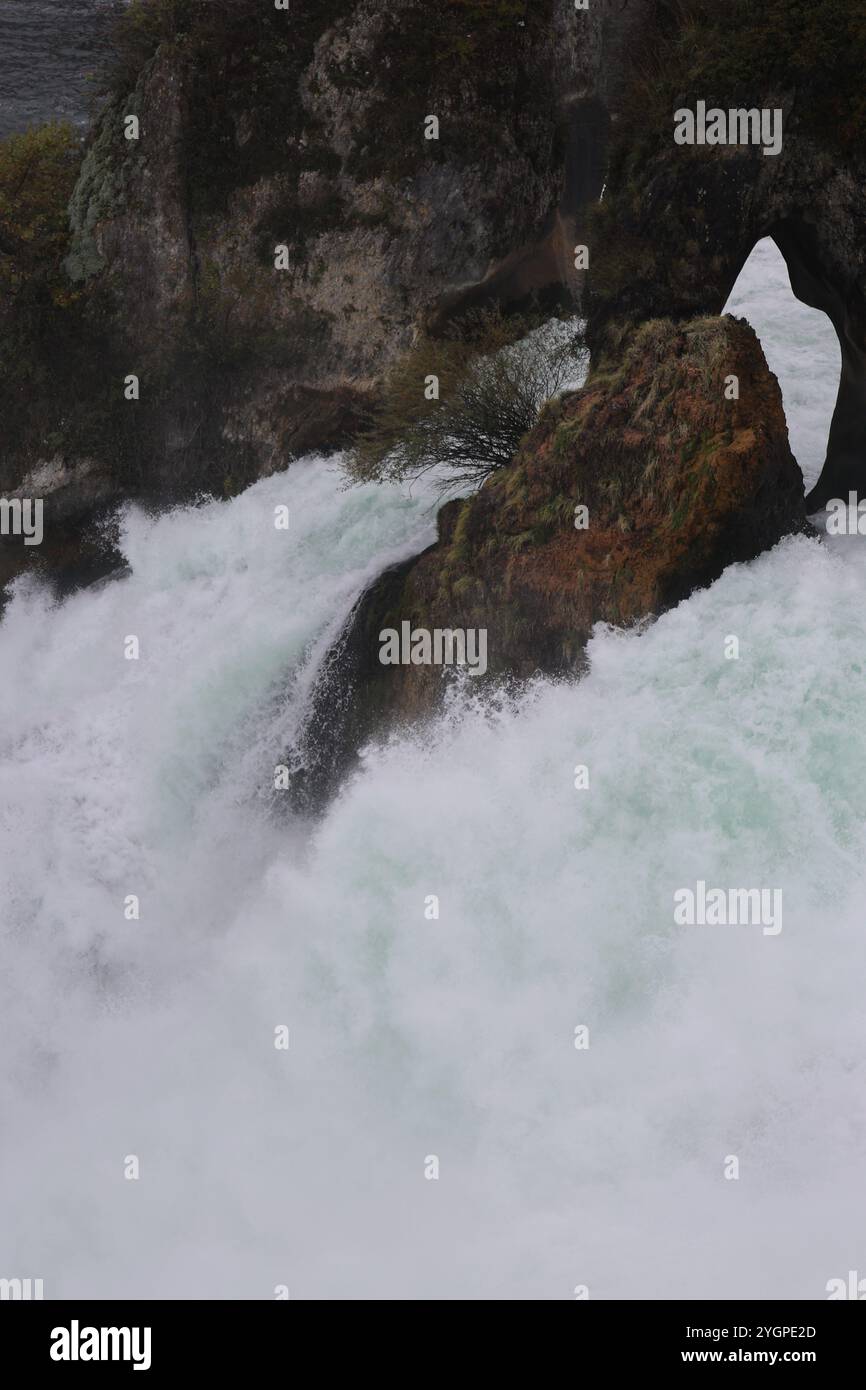 Rheinfall. Schaffhausen. Grosser Lauf. Schweiz. Rhyfall. Wassermassen. Fluss. Natur. feucht. nass. Turbulent. Grandios. Natur. Spektakulär. Felsen. Stockfoto