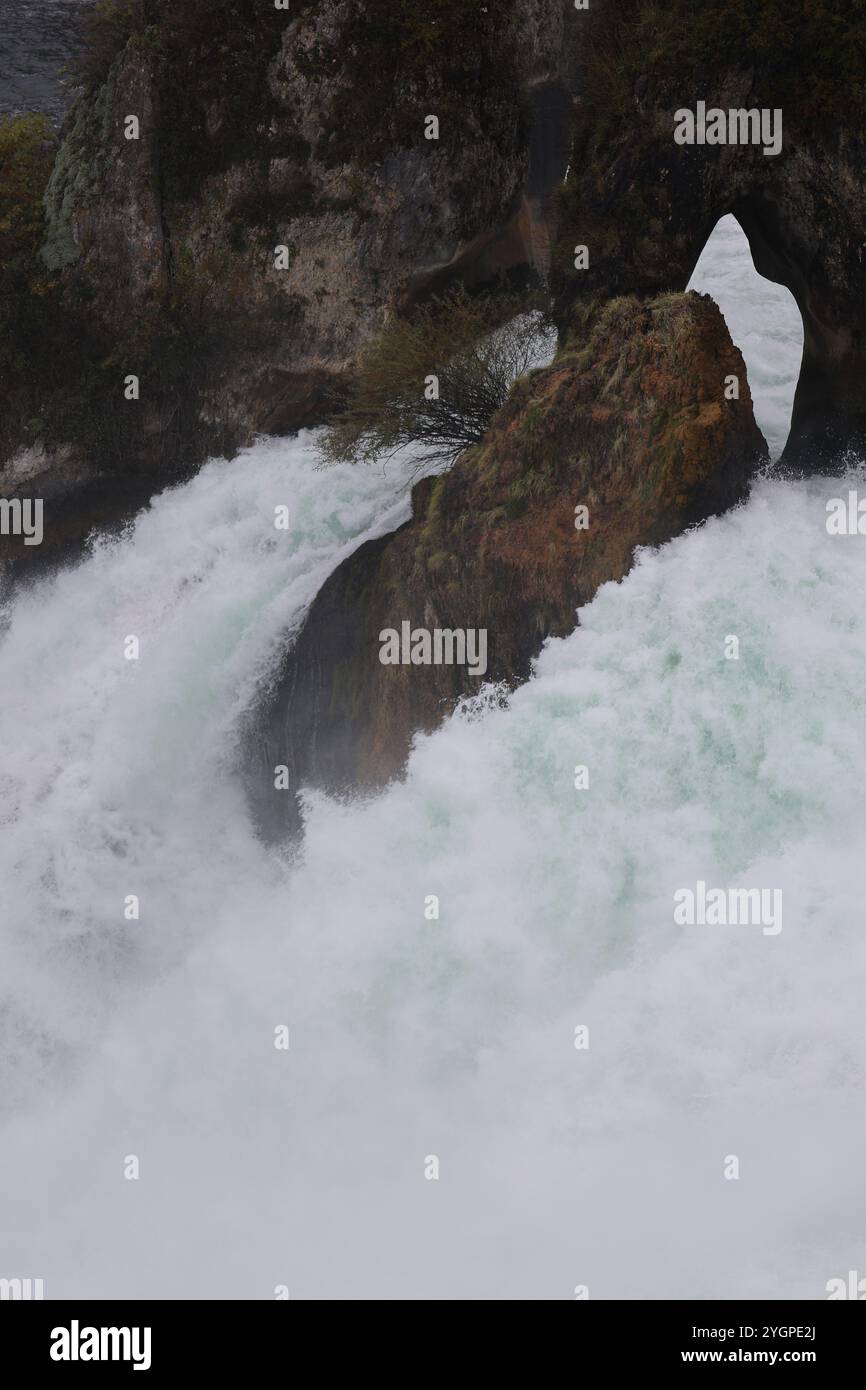 Rheinfall. Schaffhausen. Grosser Lauf. Schweiz. Rhyfall. Wassermassen. Fluss. Natur. feucht. nass. Turbulent. Grandios. Natur. Spektakulär. Felsen. Stockfoto