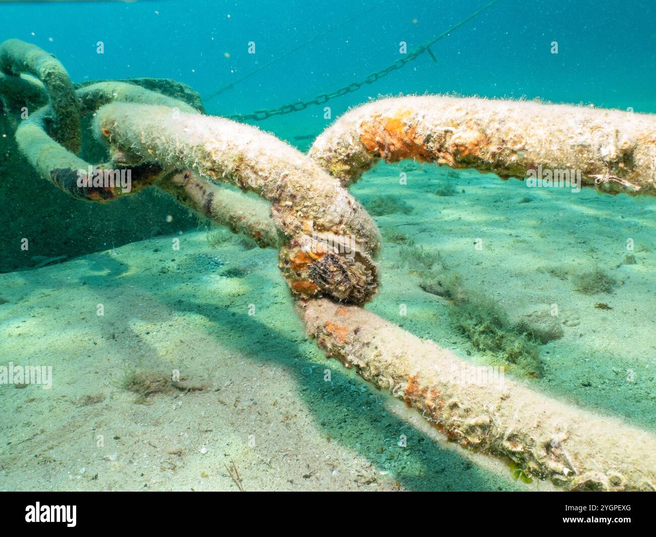 Ankerkette am Grund der Adria bei Losinj, Kroatien. Sand und türkisfarbenes Wasser im Hintergrund Stockfoto