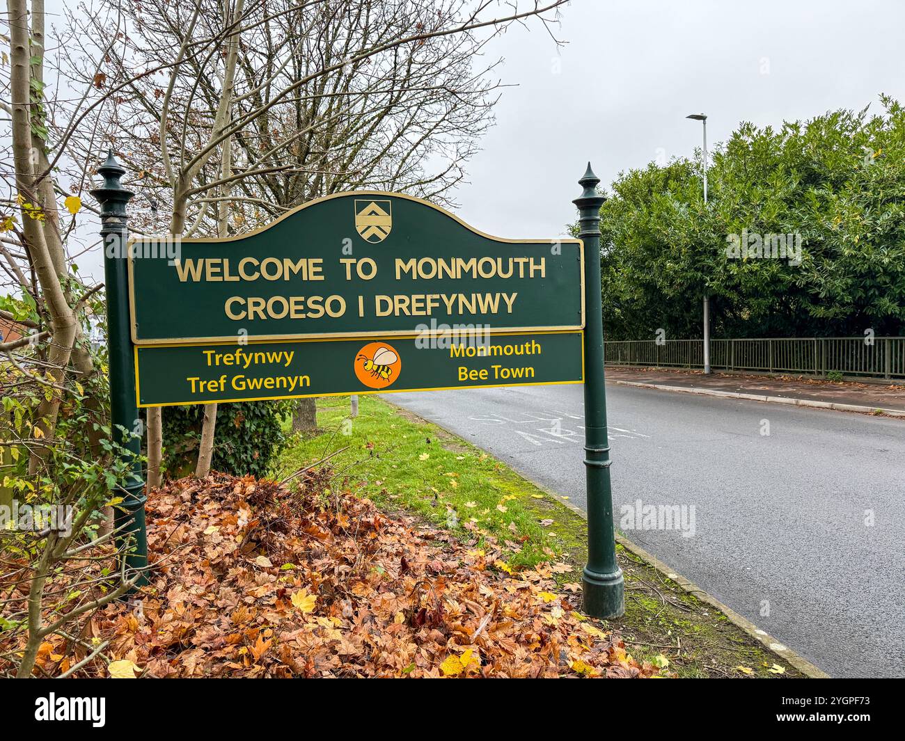 Jetzt auch als Bee Town bekannt. Die Stadt Monmouth in Südwales hat sich zu einem Paradies für Insektentiere entwickelt, da die Straßenränder nicht beschnitten werden - Smartphone-aufgenommenes Stockfoto