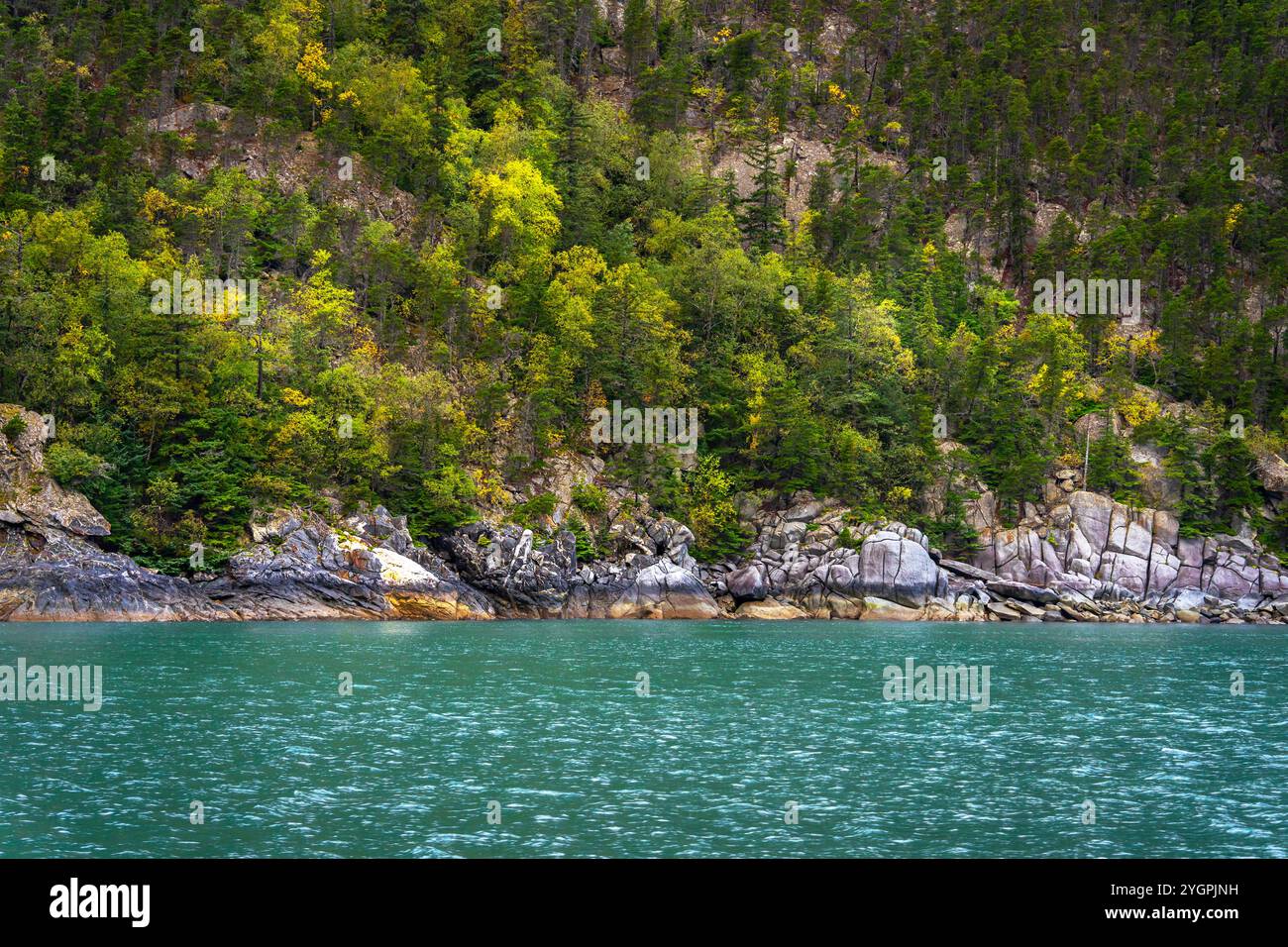 Die Küste mit Bäumen, Felsen und Meerwasser am Chilkoot Inlet in der Nähe von Skagway, Alaska Stockfoto