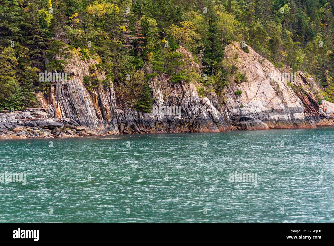 Die Küste mit Bäumen, Felsen und Meerwasser am Chilkoot Inlet in der Nähe von Skagway, Alaska Stockfoto