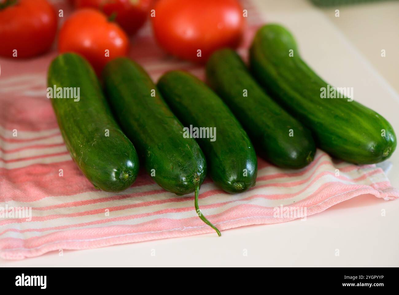 Ein gestreiftes Küchentuch bietet frische Gurken und reife Tomaten. Stockfoto