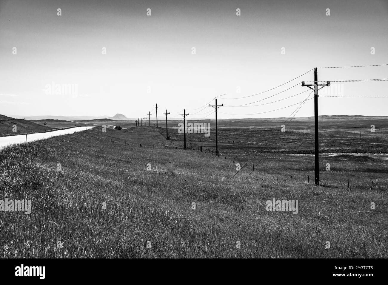 Einsame Landstraße mit Feld und Telefonleitungen. Stockfoto