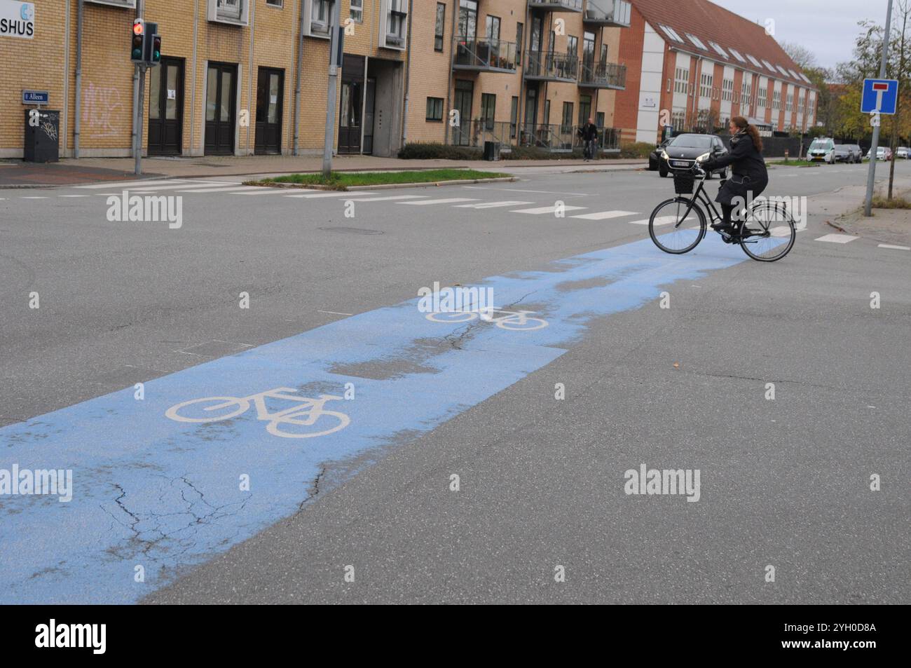 Kopenhagen/Dänemark/08 2024/ Fahrradspurschild auf der Allee in kastrup Copenahgen (Foto. Francis Joseph Dean/Dean Pictures) (nicht für kommerzielle Zwecke) Stockfoto