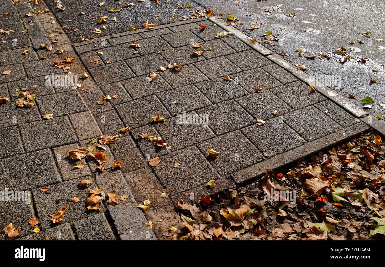 Braune Herbstblätter, die auf einem gepflasterten Gebiet mit nassen Fliesen in geradlinigem geometrischem Muster liegen Stockfoto