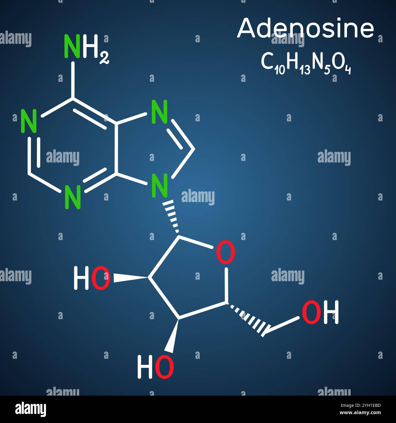 Adenosin-Ribonucleosid-Molekül. Chemische Struktur des Nukleosids, dunkelblauer Hintergrund. Vektorabbildung Stock Vektor