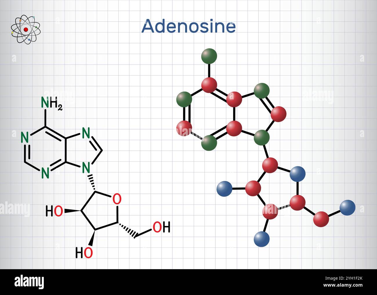 Adenosin-Ribonucleosid-Molekül. Chemische Struktur, Molekülmodell des Nukleosids. Blatt Papier in einem Käfig. Vektorabbildung Stock Vektor