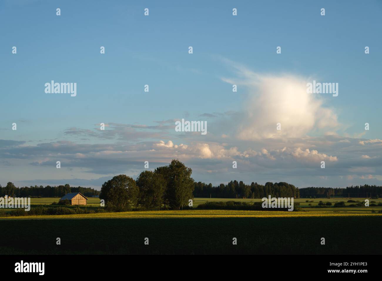 Ruhige Landschaft mit einem einsamen Bauernhaus und üppigen Feldern am Abend Stockfoto