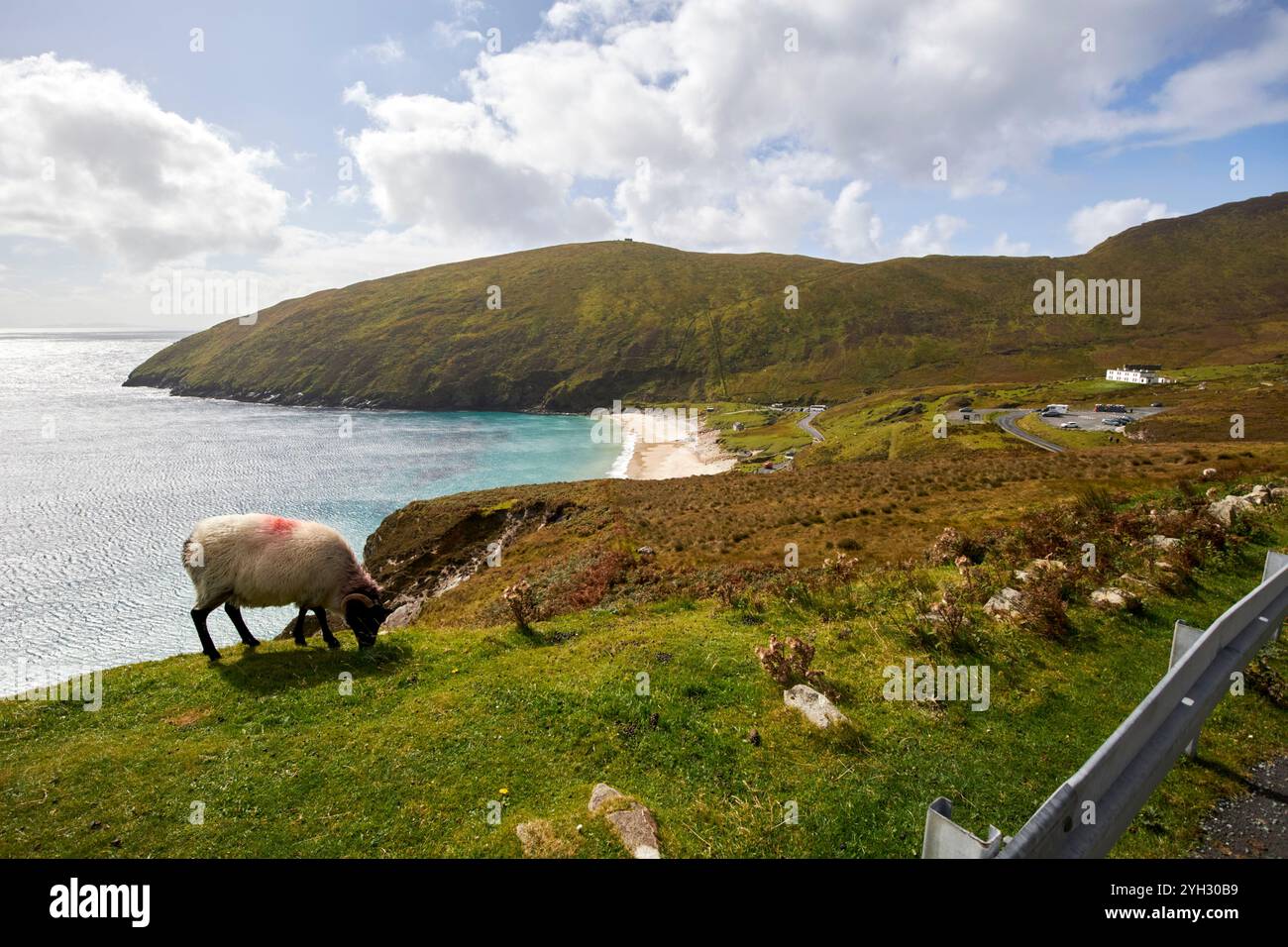 Blick von der Seite der Zufahrtsstraße auf Keem Beach mit Schafen und Absturzbarriere Keem achill Island, County Mayo, republik irland Stockfoto