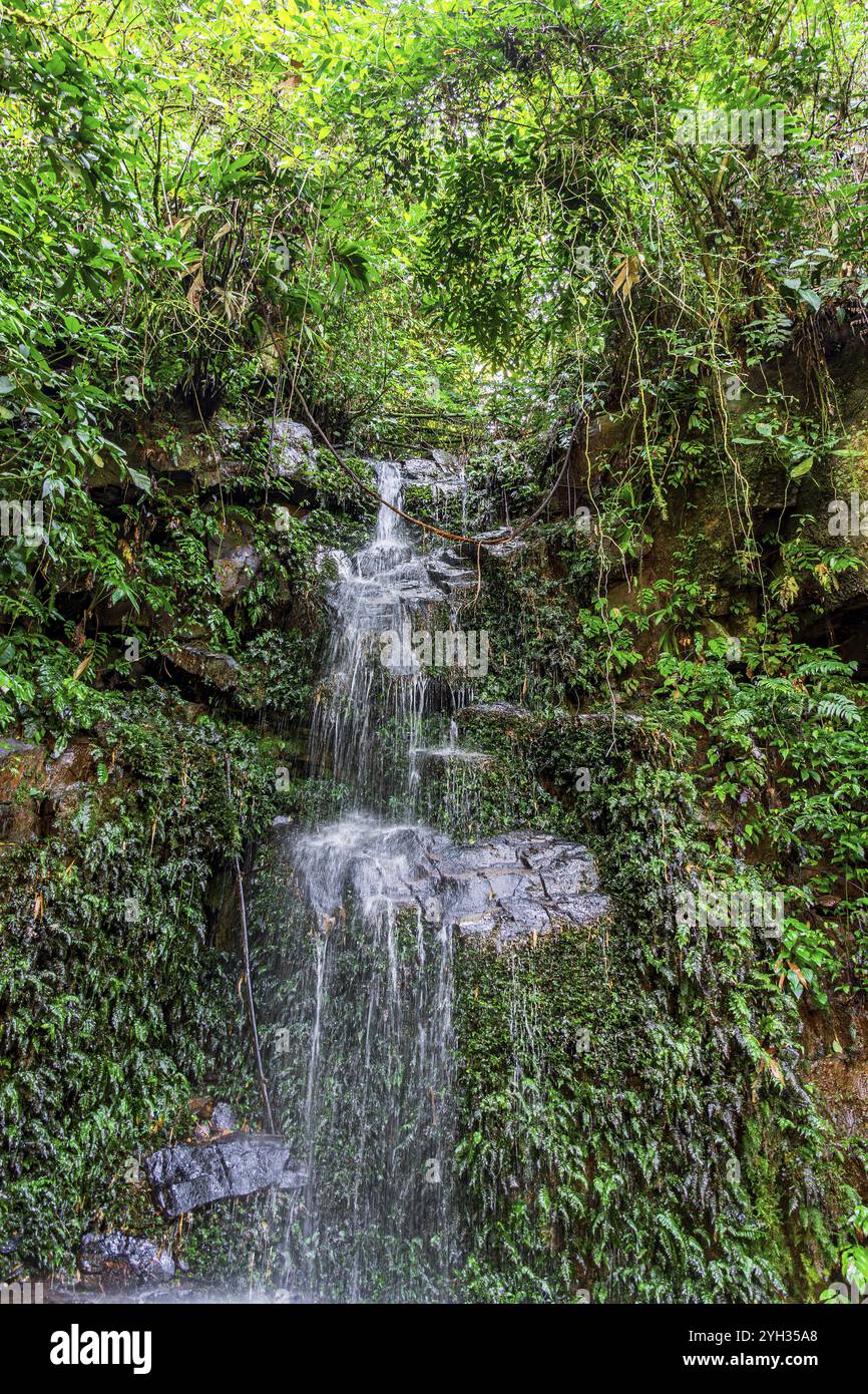 Wasserfall in der Vegetation des Regenwaldes auf der Insel Ilhabela an der Nordküste von Sao Paulo Stockfoto