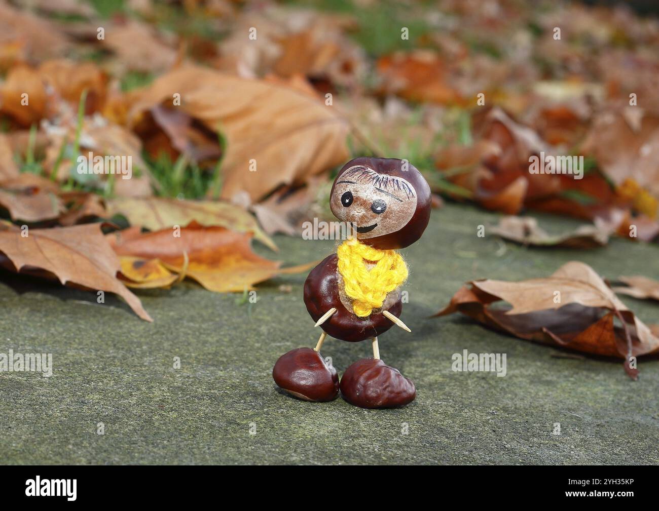 Lustige Kastanienfigur mit gelbem Schal an der Wand in Herbstlaub, Nordrhein-Westfalen, Deutschland, Europa Stockfoto
