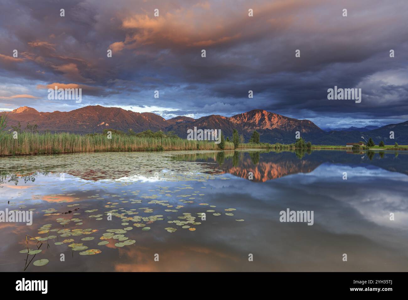 Berge spiegeln sich im See, bewölkte Stimmung, Abendlicht, Frieden, Stille, Loisach-See Kochelmoor, Kochlergebirge, Alpenvorland, Bayern, Germa Stockfoto