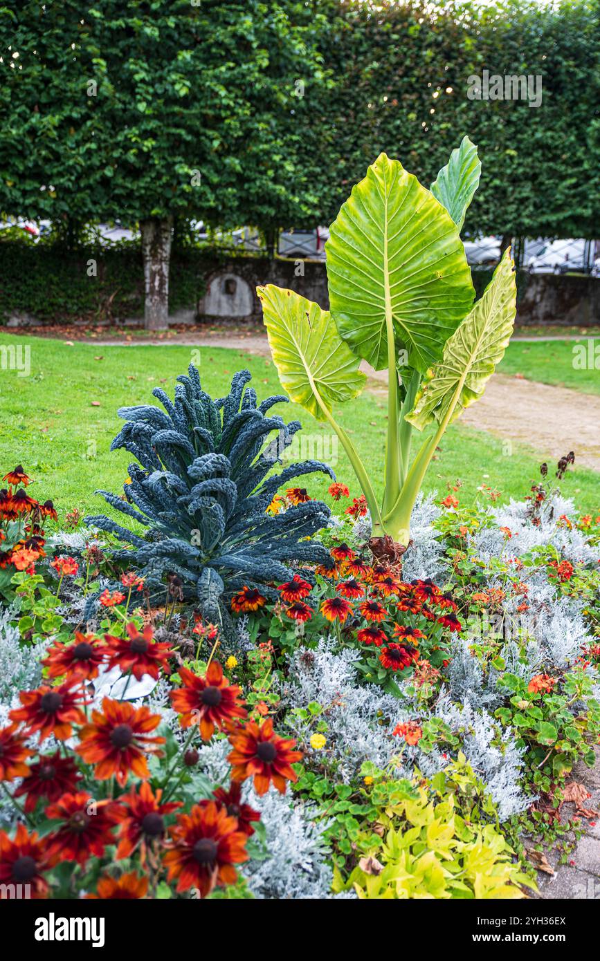 Blumen und Pflanzen in einem Garten auf grünem Gras vor Bäumen Stockfoto