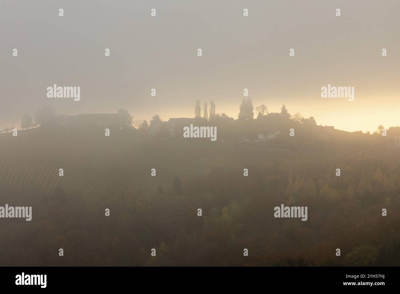 Morgensonne über Hügeln und Weinbergen bricht durch den Frühherbstnebel in der Nähe von Kitzeck, Sausal, Steiermark Stockfoto