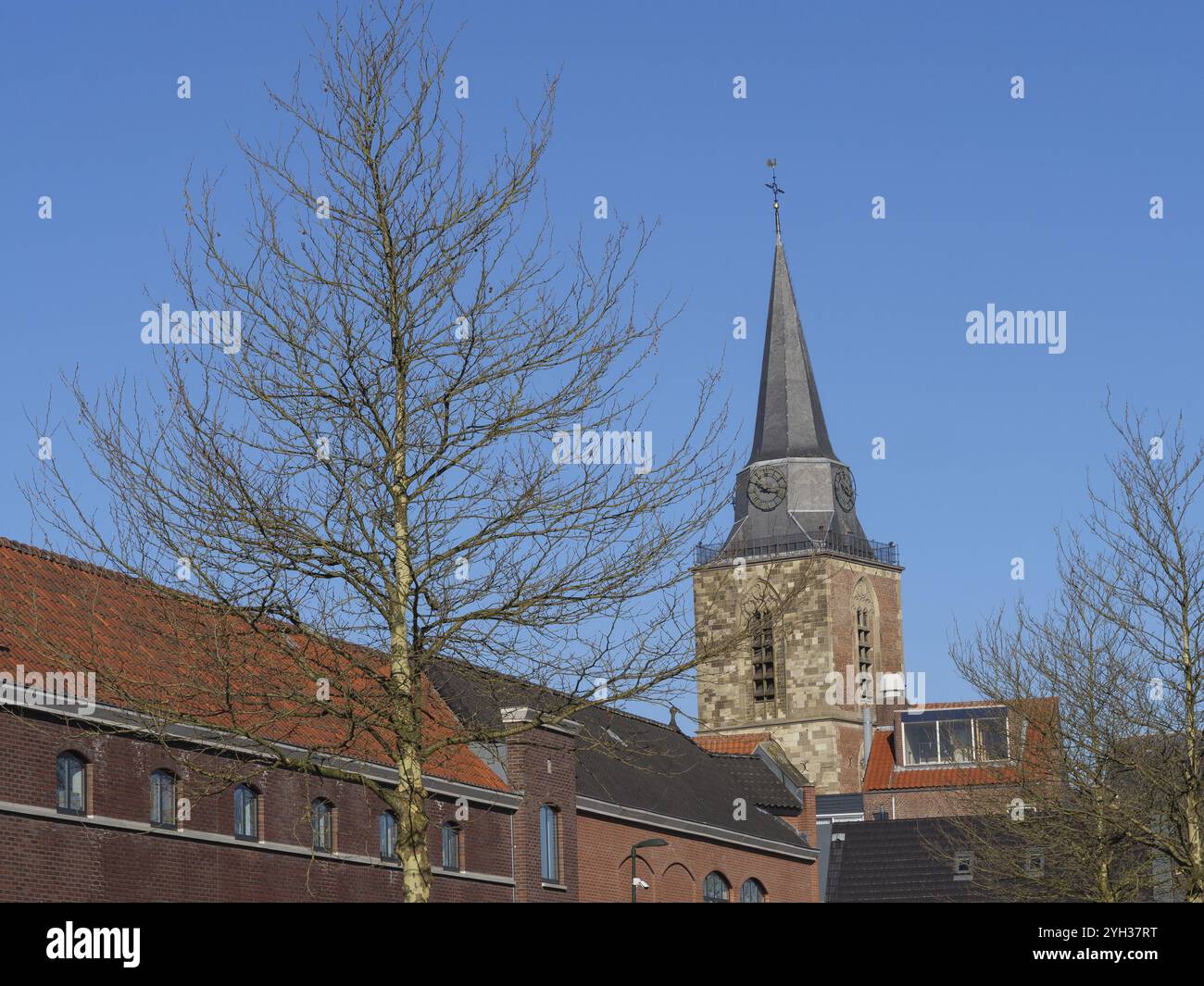 Ein Kirchturm erhebt sich über niedrigen Gebäuden, umgeben von Bäumen und einem roten Dach, winterswijk, gelderland, niederlande Stockfoto