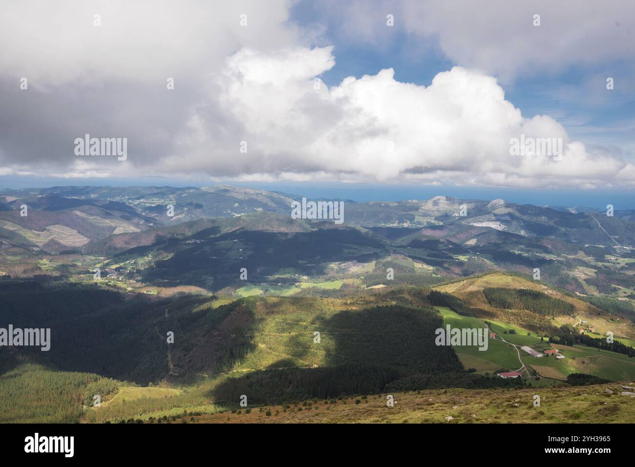 Wald- und Berglandschaft von Vizcaya im Oizberg, Baskenland, Spanien, Europa Stockfoto