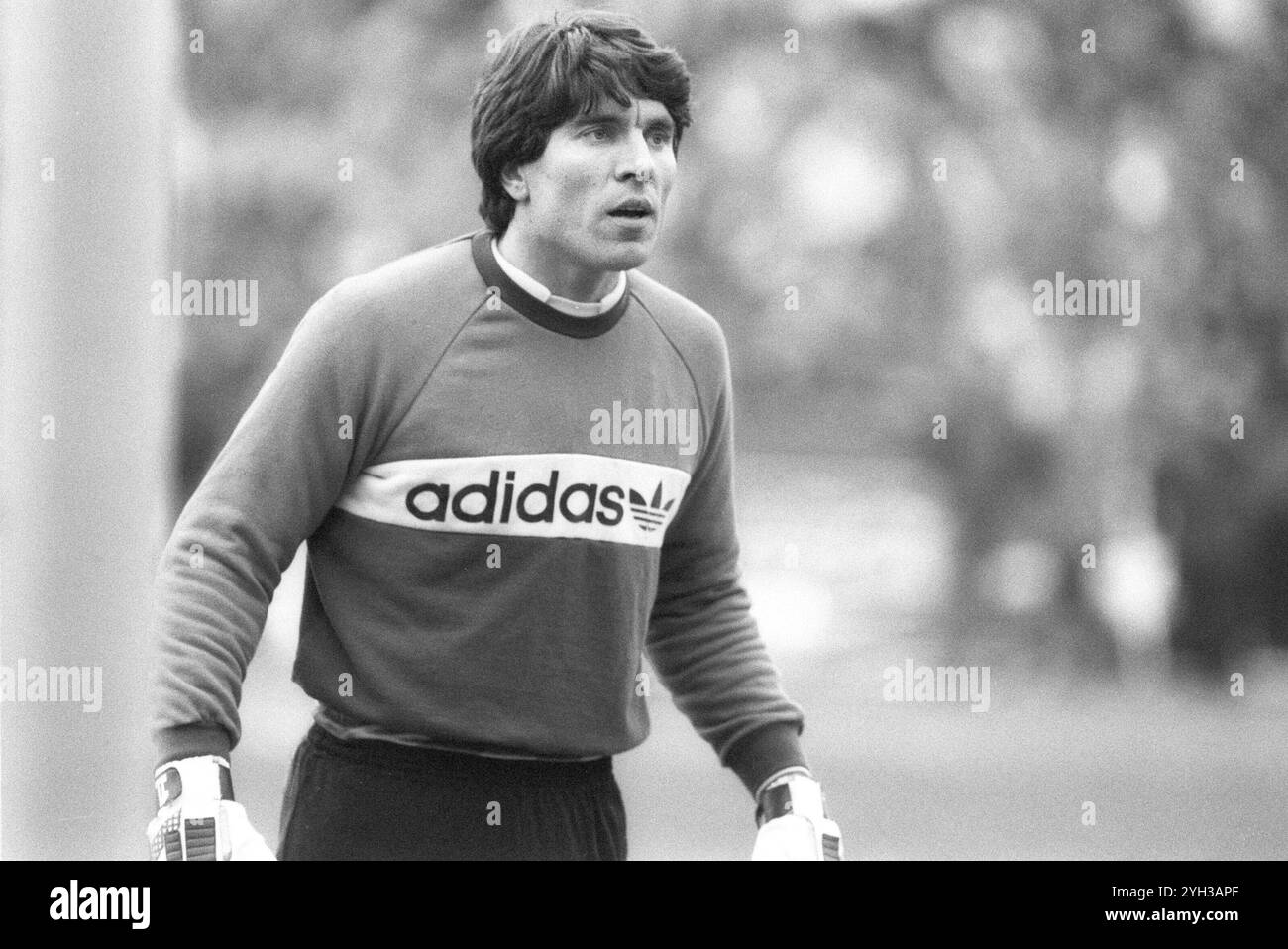 Jürgen Rynio Fußballspieler 02/86 ru Jürgen Rynio während des Bundesligaspiels Hannover 96 gegen den FC Bayern München im Niedersachsenstadion Hannover am 1. Februar 1986 Deutschland deutsch deutscher Mann Fußball Fußballer Torwart Fußballfunktionär Trainer Torwarttrainer Sport deutscher Fußballspieler Torwart quer halb stehend SW *** Jürgen Rynio Fußballspieler 02 86 ru Jürgen Rynio während des Bundesliga-Spiels Hannover 96 gegen den FC Bayern München im Niedersachsenstadion Hannover am 1. Februar 1986 deutscher Fußballspieler Torwart Fussball offizieller Trainer Torwarttrainer Trai Stockfoto