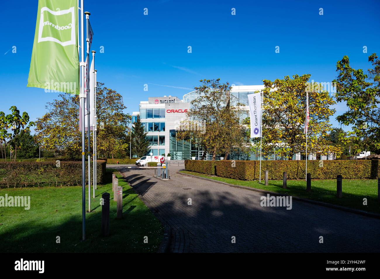 Hauptsitz der Oracle Database Management Company in Vilvoorde, Flämisch Brabant, Belgien, 26. Oktober 2024 Stockfoto