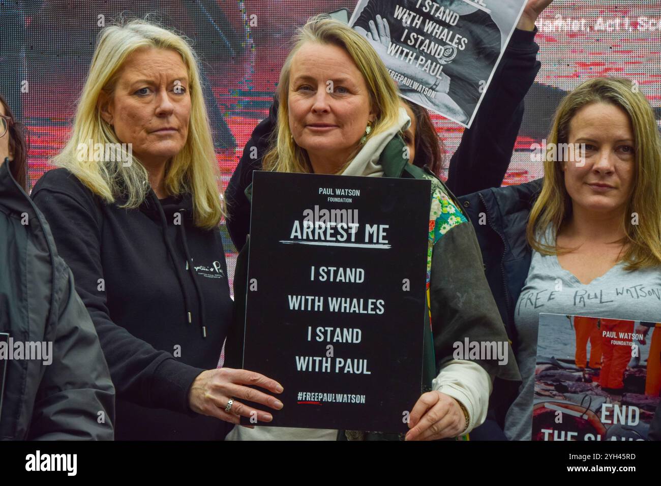 London, Großbritannien. November 2024. Demonstranten versammeln sich vor dem Parlament in Westminster, um den Gründer und Anti-Walfang-Aktivist Paul Watson zu unterstützen. Watson, ein US-amerikanischer und kanadischer Staatsbürger, wurde in Grönland verhaftet und wird in Japan wegen Komplizin wegen Übergriffs- und Schiffsübertretens angeklagt, was dazu führen könnte, dass er zu einer 15-jährigen Haftstrafe verurteilt wurde. Quelle: Vuk Valcic/Alamy Live News Stockfoto