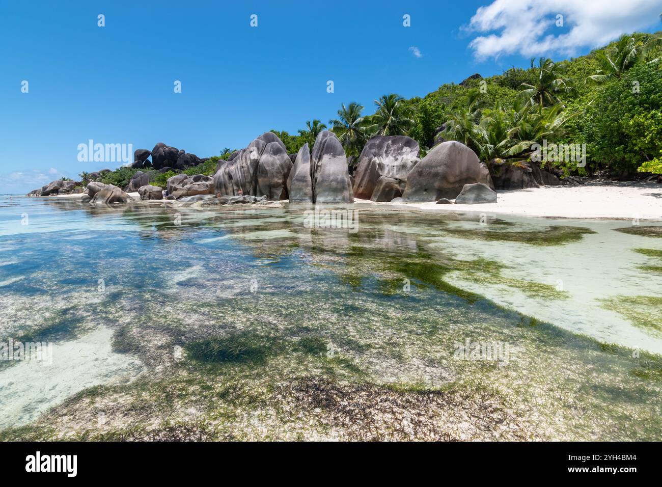 Wunderschöner Strand auf La Digue Island, Seychellen. Stockfoto