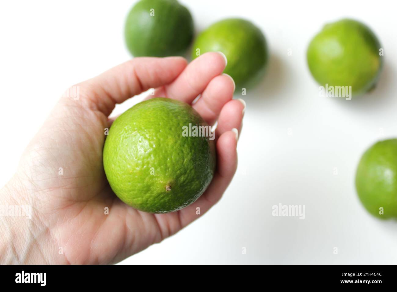 Frische tropische grüne Limette, die von der Hand der kaukasischen Frau gehalten wird. Zitrusfrüchte als Zutat für vegetarische, vegane, gesunde Bio-Diät-Mahlzeit. Stockfoto