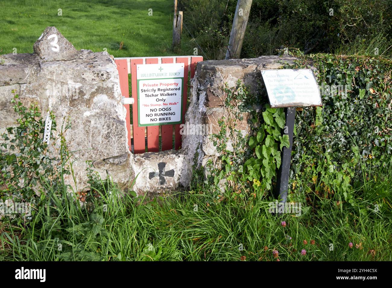 Fahren Sie auf dem St. patricks Causeway Pilgerweg nach croagh patrick, um Erlaubnis in der Ballintubber Abbey, County Mayo, republik irland zu bitten Stockfoto