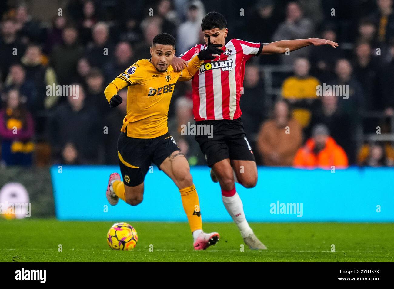 Wolverhampton, Großbritannien. November 2024. WOLVERHAMPTON, ENGLAND – 9. NOVEMBER: Joao Gomes vom Wolverhampton Wanderers FC wird am 9. November 2024 in Wolverhampton, ENGLAND, von Mateus Fernandes vom Southampton FC beim Premier League-Spiel zwischen Wolverhampton Wanderers FC und Southampton FC bei Molineux angefochten. (Foto: Rene Nijhuis/MB Media) Credit: MB Media Solutions/Alamy Live News Stockfoto