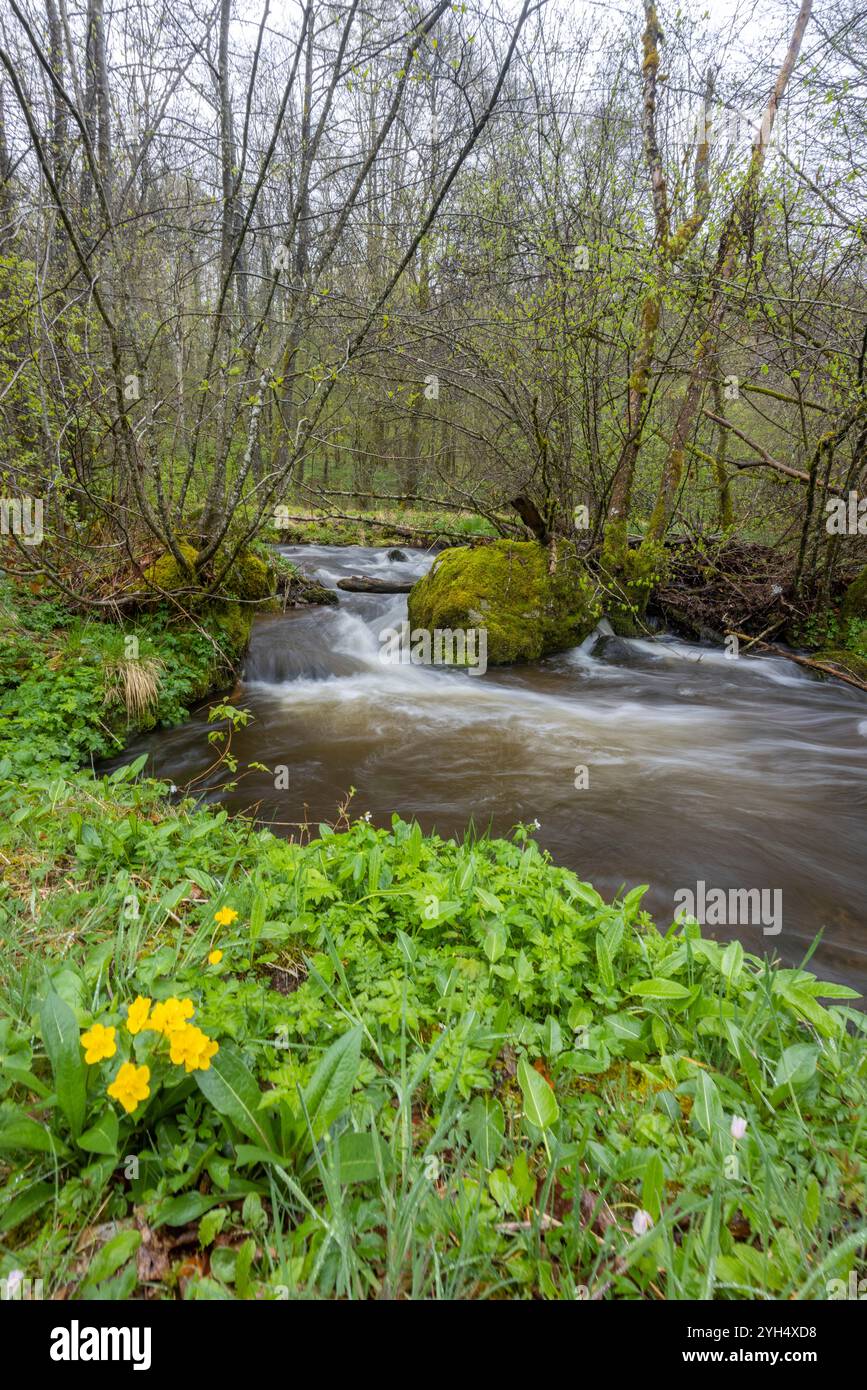 Plateau des Grilloux, Plateau der tausend Teiche (Plateau des Mille etangs), Haute Saone, Bourgogne-Franche-Comte, Frankreich Stockfoto