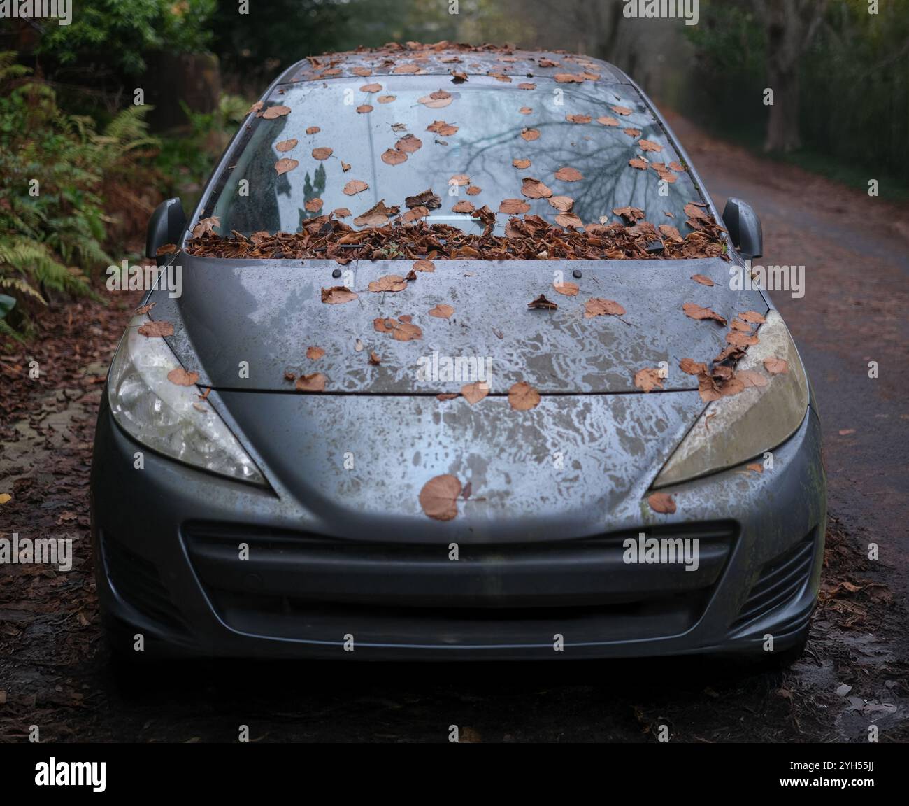 Ein Verlassenes Auto, Bedeckt Mit Schmutz Und Blättern Stockfoto