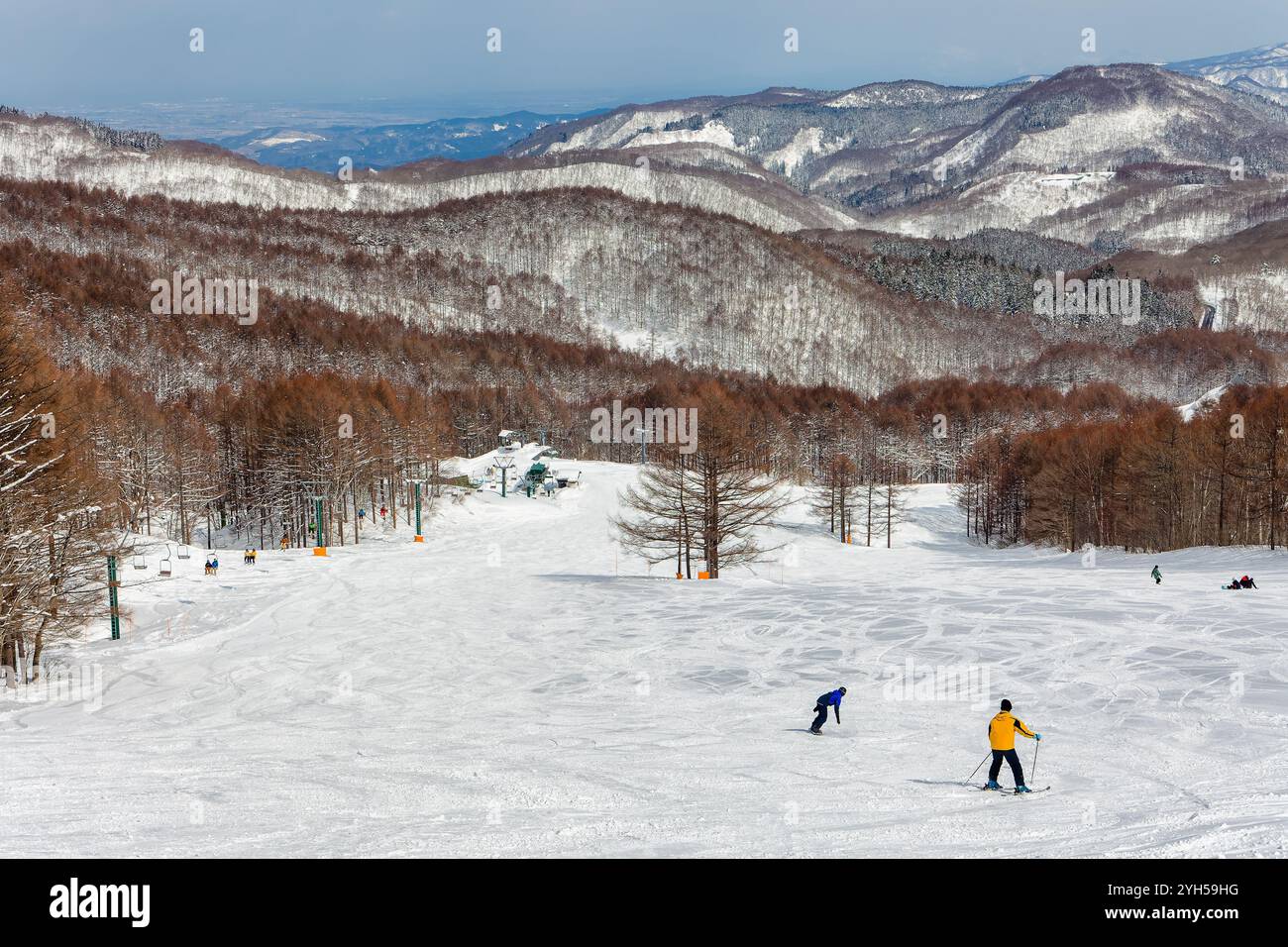 Skifahrer im japanischen Skigebiet Madarao in der Präfektur Nagano Stockfoto