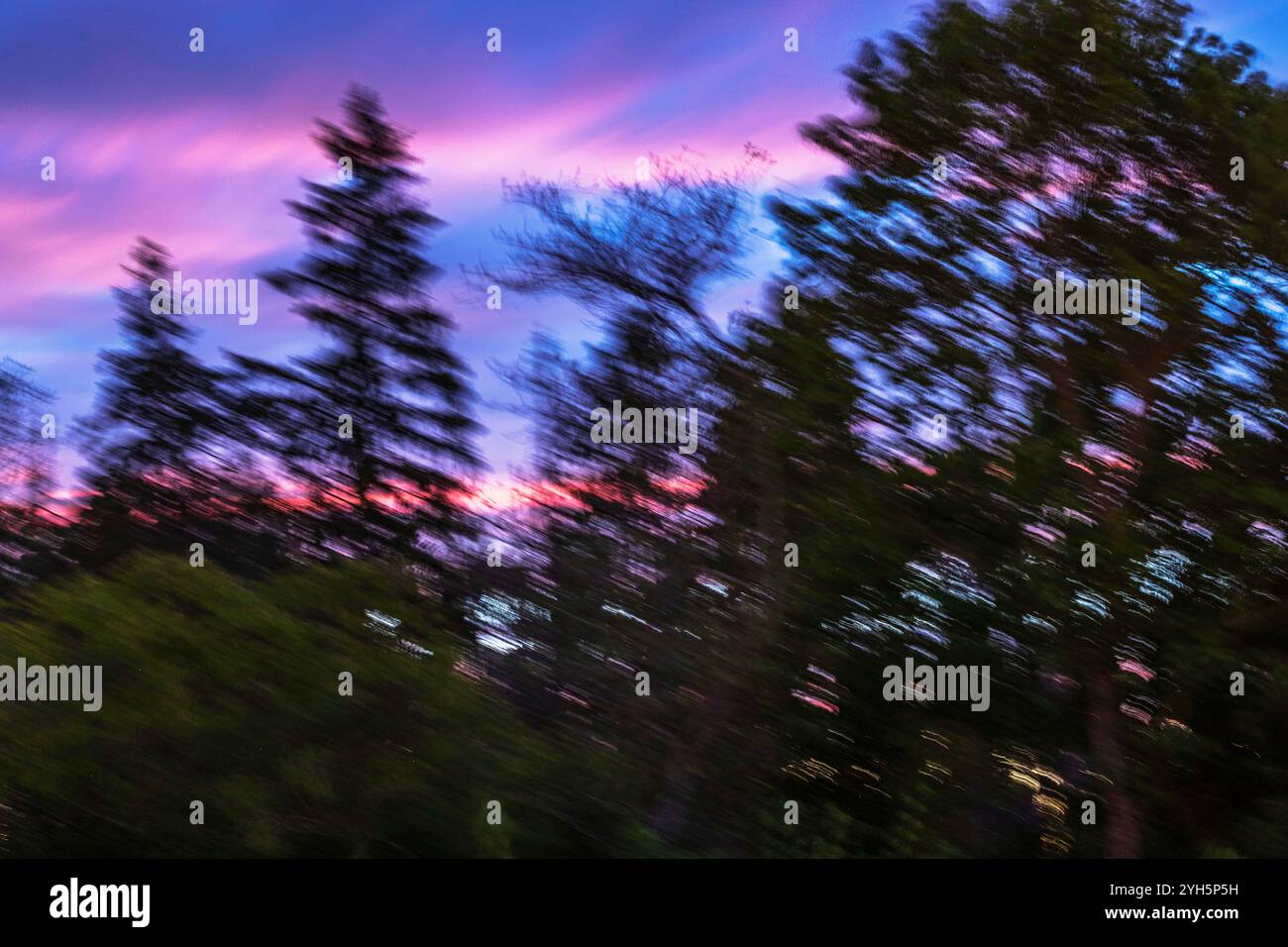 Unscharfer Blick auf Bäume und den lebendigen Sonnenuntergang, der einen verschwommenen, traumhaften Effekt erzeugt. Stockfoto