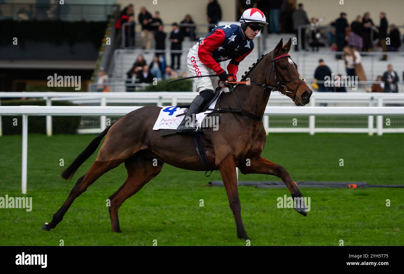 Kitty's Light und Nick Scholfield auf der Ascot Racecourse am Samstag, den 2. November 2024. Credit JTW equine Images / Alamy. Stockfoto