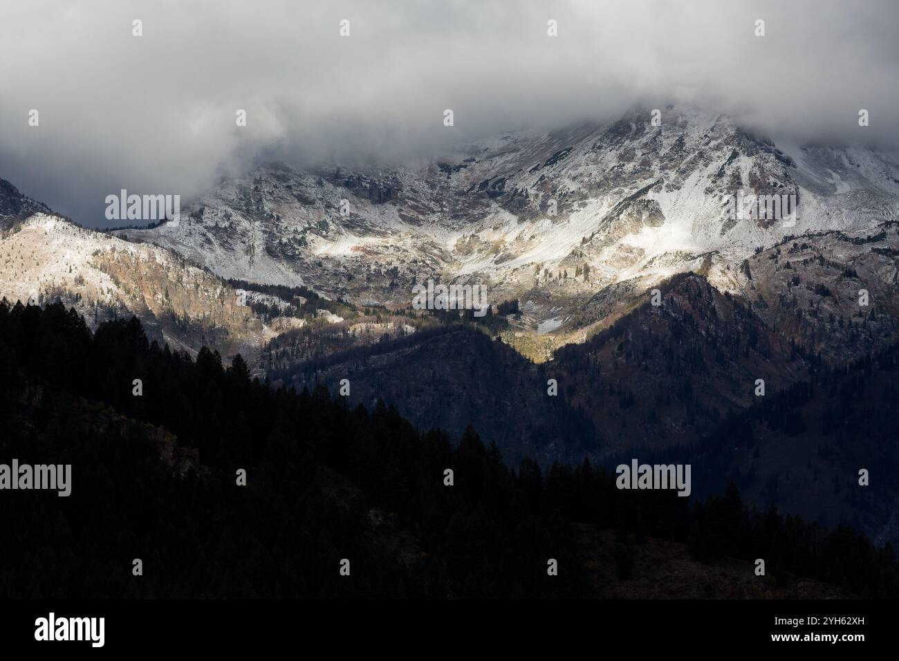 Eine frühe Wintersturm hinterlässt eine Abstauben des Schnees auf die Teton Mountains im Grand-Teton-Nationalpark, Wyoming. Stockfoto