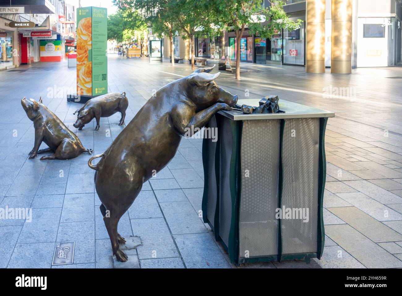 The Rundle Mall Bronze Pigs, Rundle Mall, Adelaide, South Australia, Australien Stockfoto