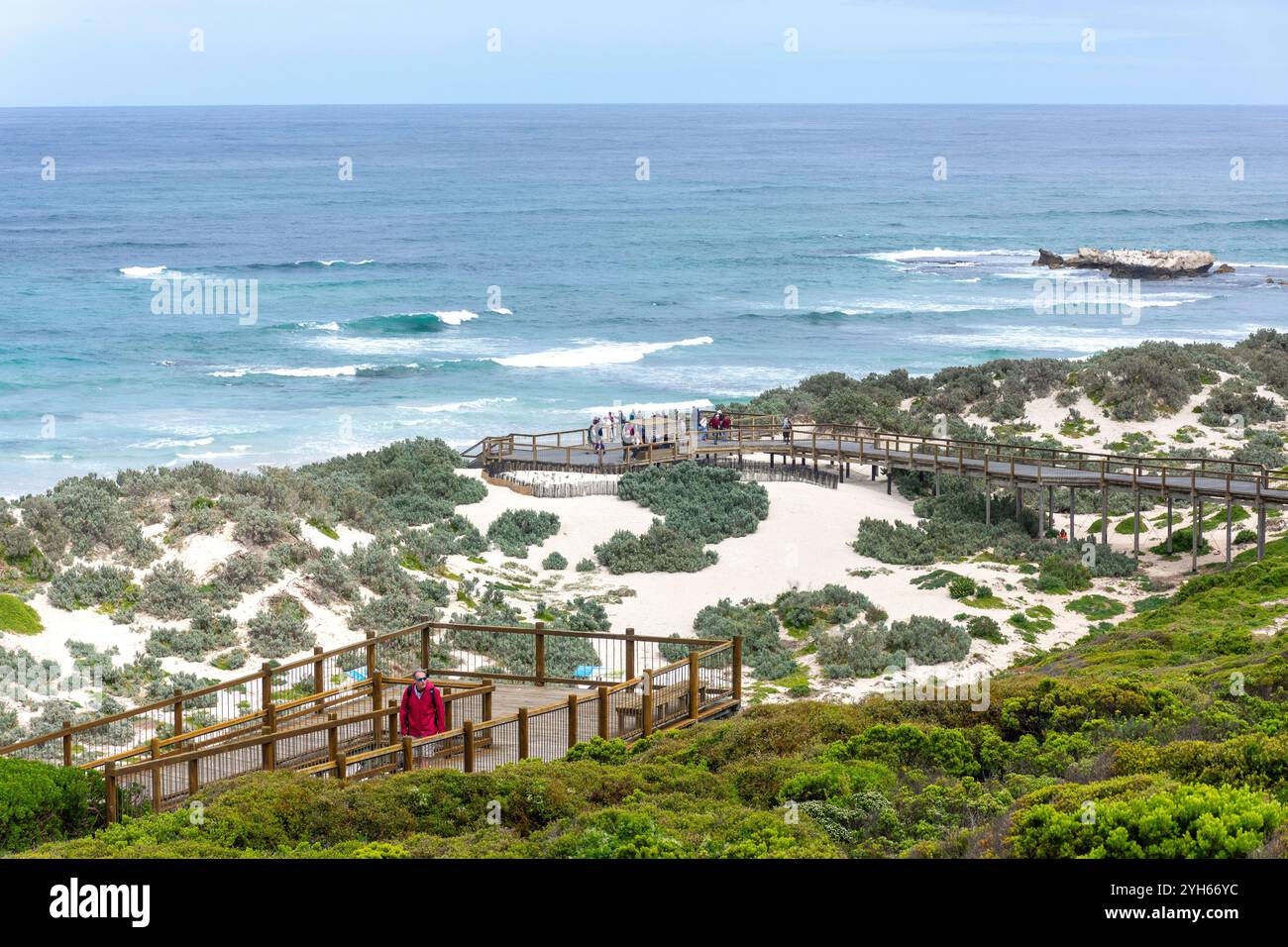 Promenade im Seal Bay Conservation Park, Kangaroo Island (Karta Pintingga), South Australia, Australien Stockfoto