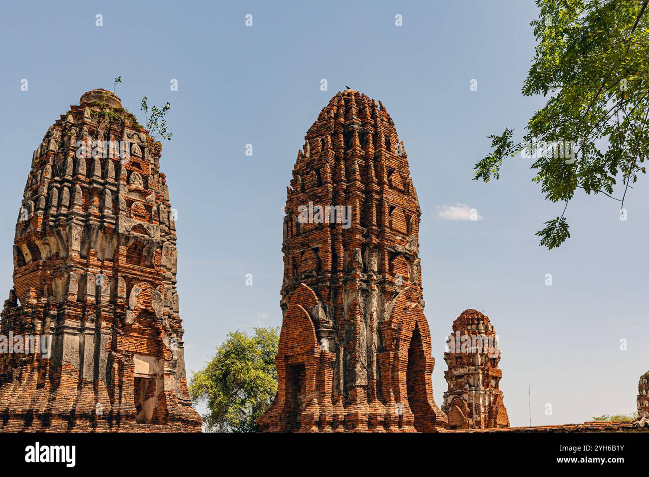 Hoch aufragende Prangs von Wat Mahathat, Ayutthaya Stockfoto