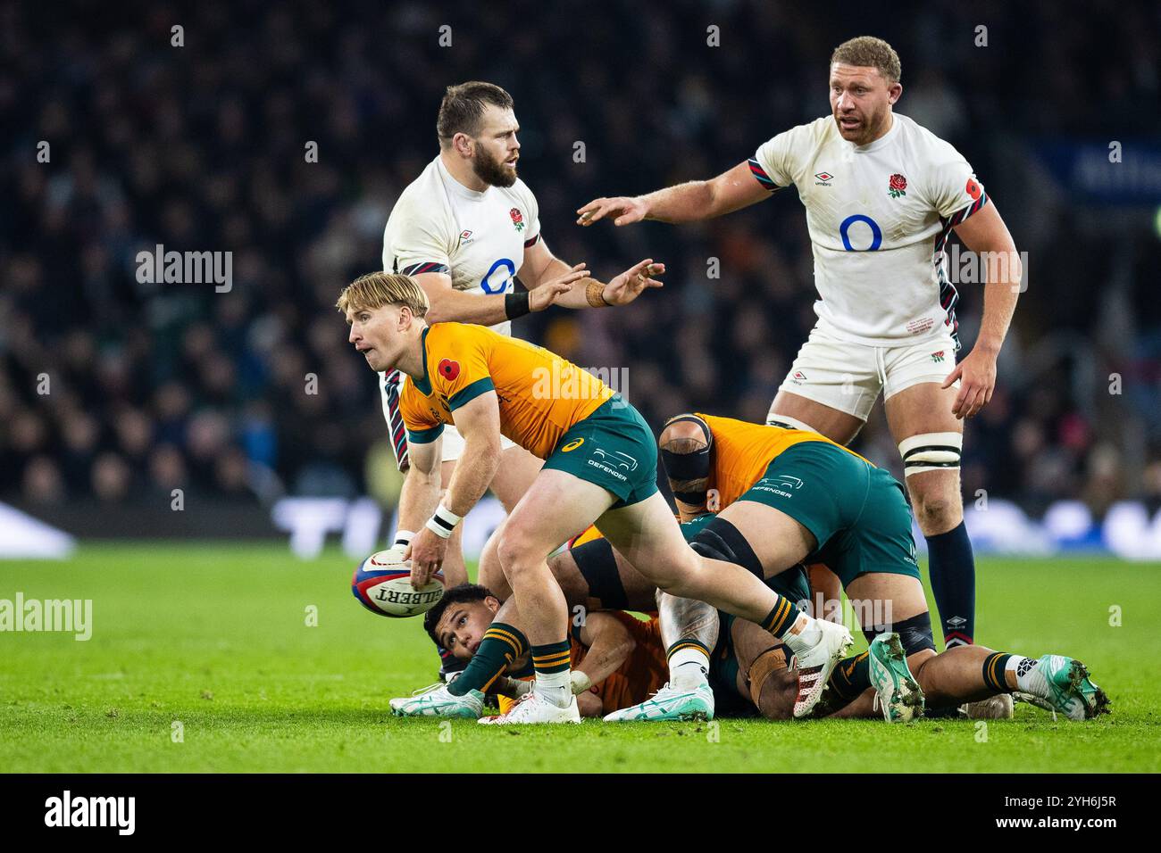 Tate McDermott aus Australien während des Rugby-union-Spiels der Autumn Nations Series 2024 zwischen England und Australien am 9. November 2024 im Allianz Stadium in Twickenham, England Stockfoto
